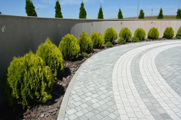 Best Brick Driveway Pavers  in Austin, AR